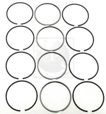 Nippon pieces I903U06B Piston Ring Kit I903U06B: Buy near me at 2407.PL in Poland at an Affordable price!
