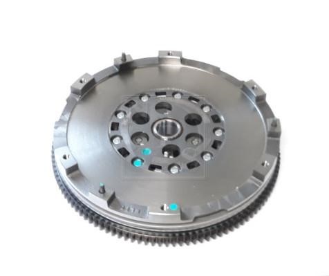 Nippon pieces D205O04 Flywheel D205O04: Buy near me in Poland at 2407.PL - Good price!