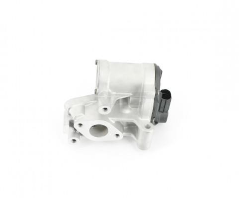 Nippon pieces N564N12 EGR Valve N564N12: Buy near me at 2407.PL in Poland at an Affordable price!