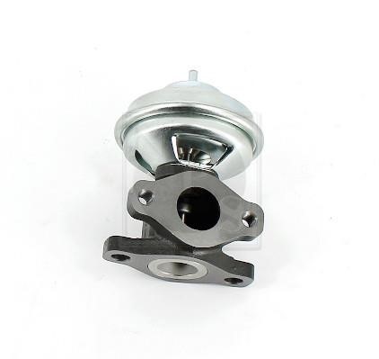 Nippon pieces H564I01 EGR Valve H564I01: Buy near me in Poland at 2407.PL - Good price!