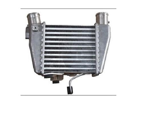 Nippon pieces H816I06 Intercooler, charger H816I06: Buy near me in Poland at 2407.PL - Good price!