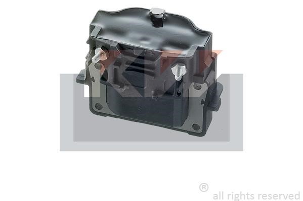 KW 470199 Ignition coil 470199: Buy near me in Poland at 2407.PL - Good price!