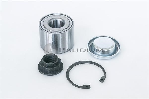 Ashuki PAL6-1016 Wheel bearing kit PAL61016: Buy near me in Poland at 2407.PL - Good price!