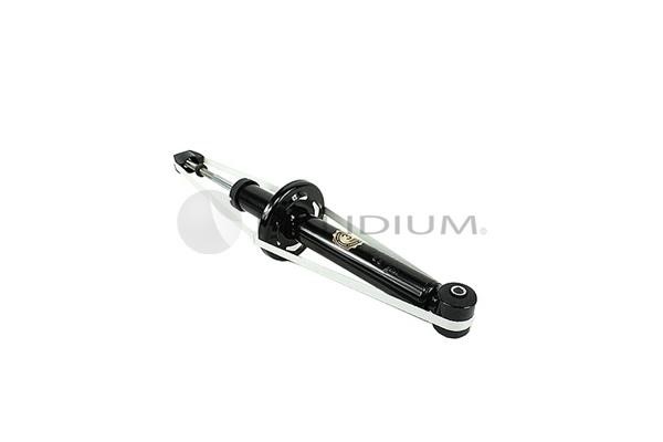 Ashuki PAL9-0040 Rear oil and gas suspension shock absorber PAL90040: Buy near me in Poland at 2407.PL - Good price!