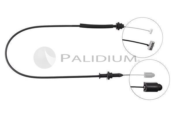 Ashuki PAL3-1892 Accelerator cable PAL31892: Buy near me in Poland at 2407.PL - Good price!