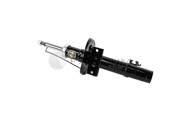 Ashuki PAL9-0004 Front oil and gas suspension shock absorber PAL90004: Buy near me in Poland at 2407.PL - Good price!