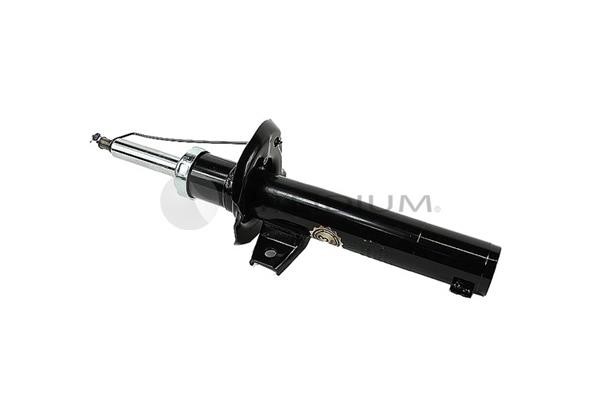 Ashuki PAL9-0015 Front oil and gas suspension shock absorber PAL90015: Buy near me in Poland at 2407.PL - Good price!