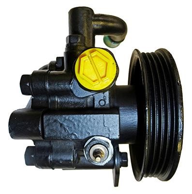 Lizarte 04.75.0145-1 Hydraulikpumpe, Lenkung 047501451: Kaufen Sie zu einem guten Preis in Polen bei 2407.PL!