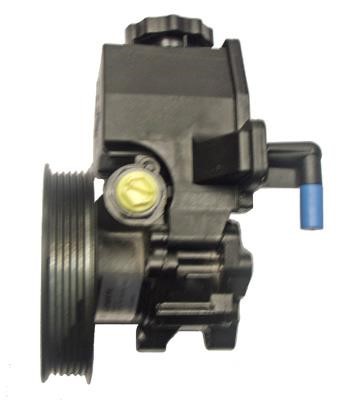 Lizarte 041300801 Hydraulic Pump, steering system 041300801: Buy near me in Poland at 2407.PL - Good price!