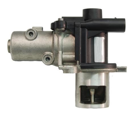 Lizarte EGR021 Valve EGR021: Buy near me at 2407.PL in Poland at an Affordable price!