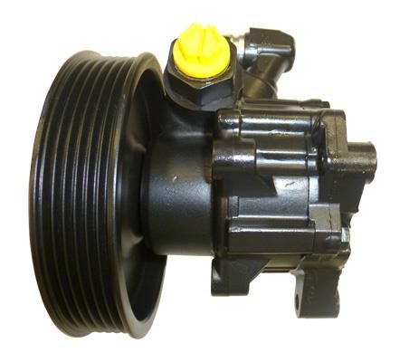 Lizarte 041301061 Hydraulic Pump, steering system 041301061: Buy near me in Poland at 2407.PL - Good price!