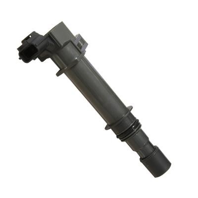 Hitachi 2504056 Ignition coil 2504056: Buy near me in Poland at 2407.PL - Good price!