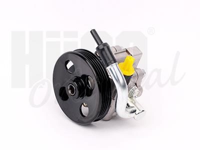 Hitachi 133647 Hydraulic Pump, steering system 133647: Buy near me in Poland at 2407.PL - Good price!