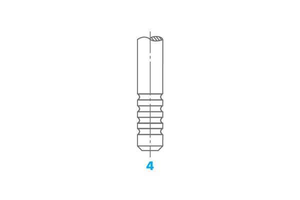 Osvat 2010 Exhaust valve 2010: Buy near me in Poland at 2407.PL - Good price!