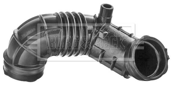 Borg & beck BTH1499 Intake Hose, air filter BTH1499: Buy near me at 2407.PL in Poland at an Affordable price!