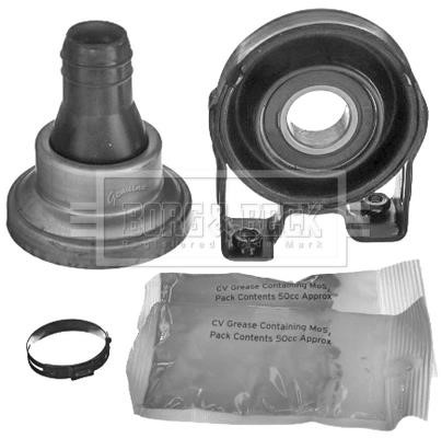 Borg & beck BPB1015 Driveshaft outboard bearing BPB1015: Buy near me in Poland at 2407.PL - Good price!