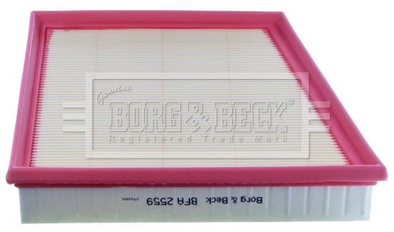 Borg & beck BFA2559 Фильтр BFA2559: Отличная цена - Купить в Польше на 2407.PL!