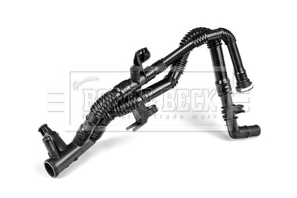 Borg & beck BTS1127 Radiator hose BTS1127: Buy near me in Poland at 2407.PL - Good price!