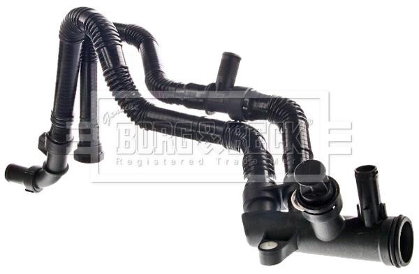 Borg & beck BTS1148 Radiator hose BTS1148: Buy near me in Poland at 2407.PL - Good price!