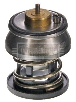 Borg & beck BBT531 Thermostat, coolant BBT531: Buy near me in Poland at 2407.PL - Good price!