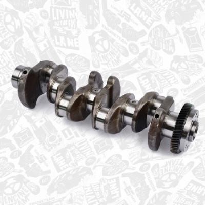 Et engineteam HK0183 Crankshaft HK0183: Buy near me in Poland at 2407.PL - Good price!