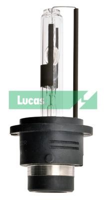 Lucas Electrical LLD2RBL Лампа галогенная 12В LLD2RBL: Отличная цена - Купить в Польше на 2407.PL!