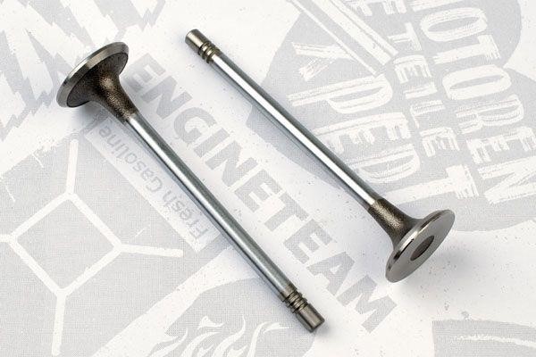 Et engineteam VI0146 Intake valve VI0146: Buy near me at 2407.PL in Poland at an Affordable price!