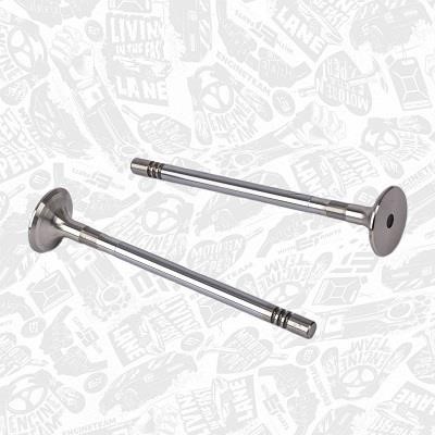 Et engineteam VE0163 Exhaust valve VE0163: Buy near me at 2407.PL in Poland at an Affordable price!