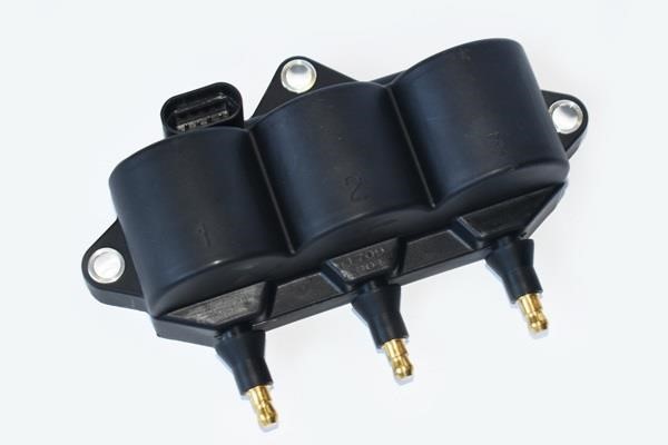 ASAM 55912 Ignition coil 55912: Buy near me in Poland at 2407.PL - Good price!