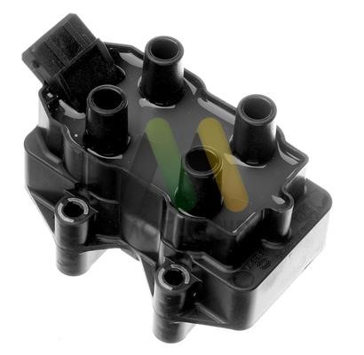 Motorquip LVCL619 Ignition coil LVCL619: Buy near me in Poland at 2407.PL - Good price!