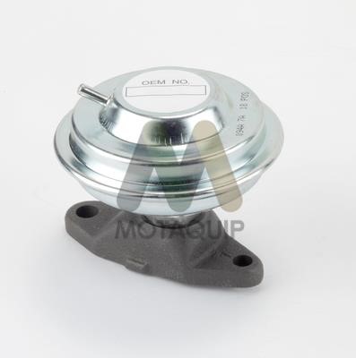 Motorquip LVER329 EGR Valve LVER329: Buy near me in Poland at 2407.PL - Good price!