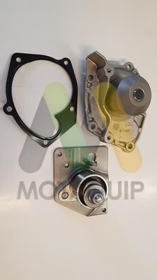 Motorquip LVTTP117 TIMING BELT KIT WITH WATER PUMP LVTTP117: Buy near me at 2407.PL in Poland at an Affordable price!