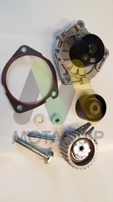 Motorquip LVTTP118 TIMING BELT KIT WITH WATER PUMP LVTTP118: Buy near me at 2407.PL in Poland at an Affordable price!