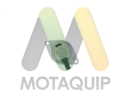 Motorquip LVEP174 Клапан фазорегулятора LVEP174: Отличная цена - Купить в Польше на 2407.PL!
