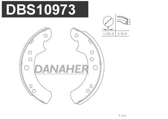 Danaher DBS10973 Brake shoe set DBS10973: Buy near me in Poland at 2407.PL - Good price!
