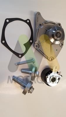 Motorquip LVTTP110 TIMING BELT KIT WITH WATER PUMP LVTTP110: Buy near me at 2407.PL in Poland at an Affordable price!