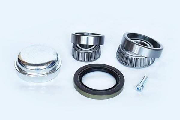 ASAM 55618 Wheel bearing 55618: Buy near me at 2407.PL in Poland at an Affordable price!