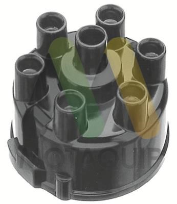 Motorquip LVDC441 Distributor cap LVDC441: Buy near me in Poland at 2407.PL - Good price!