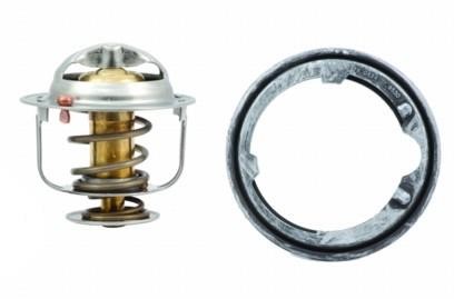 We Parts 421150175 Thermostat, coolant 421150175: Buy near me in Poland at 2407.PL - Good price!