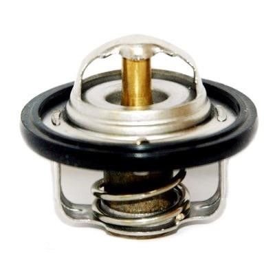 We Parts 421150065 Thermostat, coolant 421150065: Buy near me in Poland at 2407.PL - Good price!
