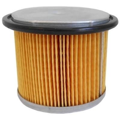 We Parts 4141 Fuel filter 4141: Buy near me in Poland at 2407.PL - Good price!