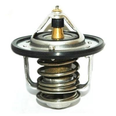 We Parts 421150113 Thermostat, coolant 421150113: Buy near me in Poland at 2407.PL - Good price!