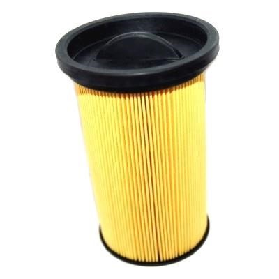 We Parts 4301 Fuel filter 4301: Buy near me in Poland at 2407.PL - Good price!