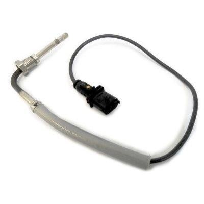 We Parts 411420230 Exhaust gas temperature sensor 411420230: Buy near me at 2407.PL in Poland at an Affordable price!