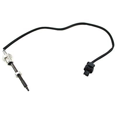 We Parts 411420686 Exhaust gas temperature sensor 411420686: Buy near me in Poland at 2407.PL - Good price!