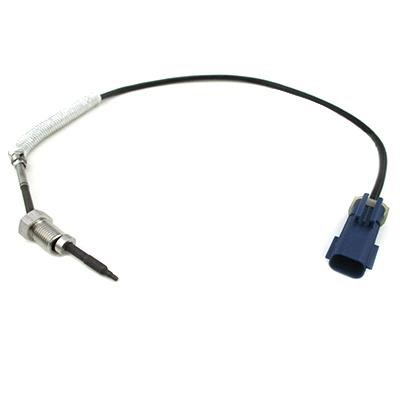 We Parts 411421039 Exhaust gas temperature sensor 411421039: Buy near me in Poland at 2407.PL - Good price!