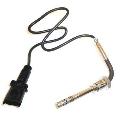 We Parts 411420009 Exhaust gas temperature sensor 411420009: Buy near me in Poland at 2407.PL - Good price!
