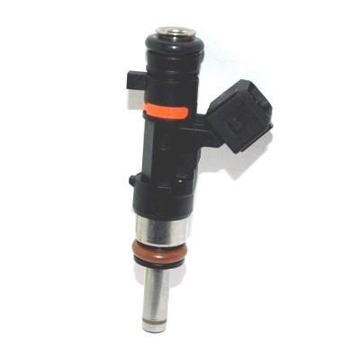 We Parts 240720053 Injector 240720053: Buy near me in Poland at 2407.PL - Good price!