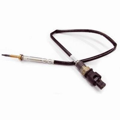 We Parts 411420131 Exhaust gas temperature sensor 411420131: Buy near me in Poland at 2407.PL - Good price!