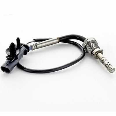 We Parts 411420710 Exhaust gas temperature sensor 411420710: Buy near me in Poland at 2407.PL - Good price!